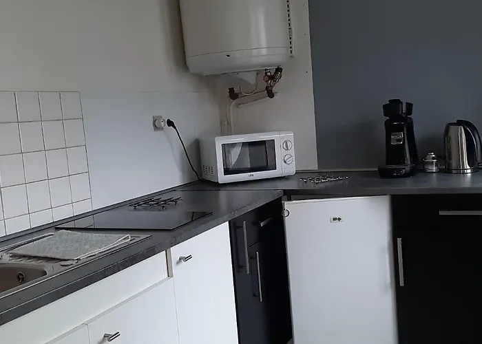 Lumineux Axe Centre Facs Chu Apartment *